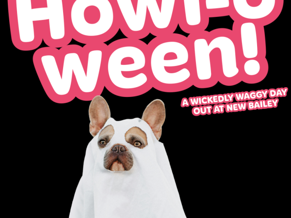 halloween, dog event, new bailey, salford, dog , pups, puppy