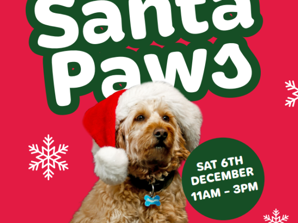 santa, dogs, street food, market, meet santa, christmas event, christmas